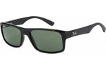 RayBan (sunglasses) - 4205