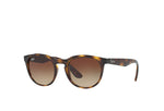 RayBan (sunglasses) - 4252