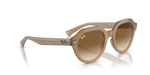 RayBan (sunglasses) - 4399